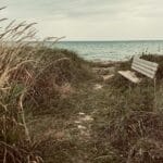 Trasa rowerowa do przekopu Mierzei: jak dojechać i co zobaczyć Ławka nad morzem przy ścieżce z widokiem na trawę i wodę