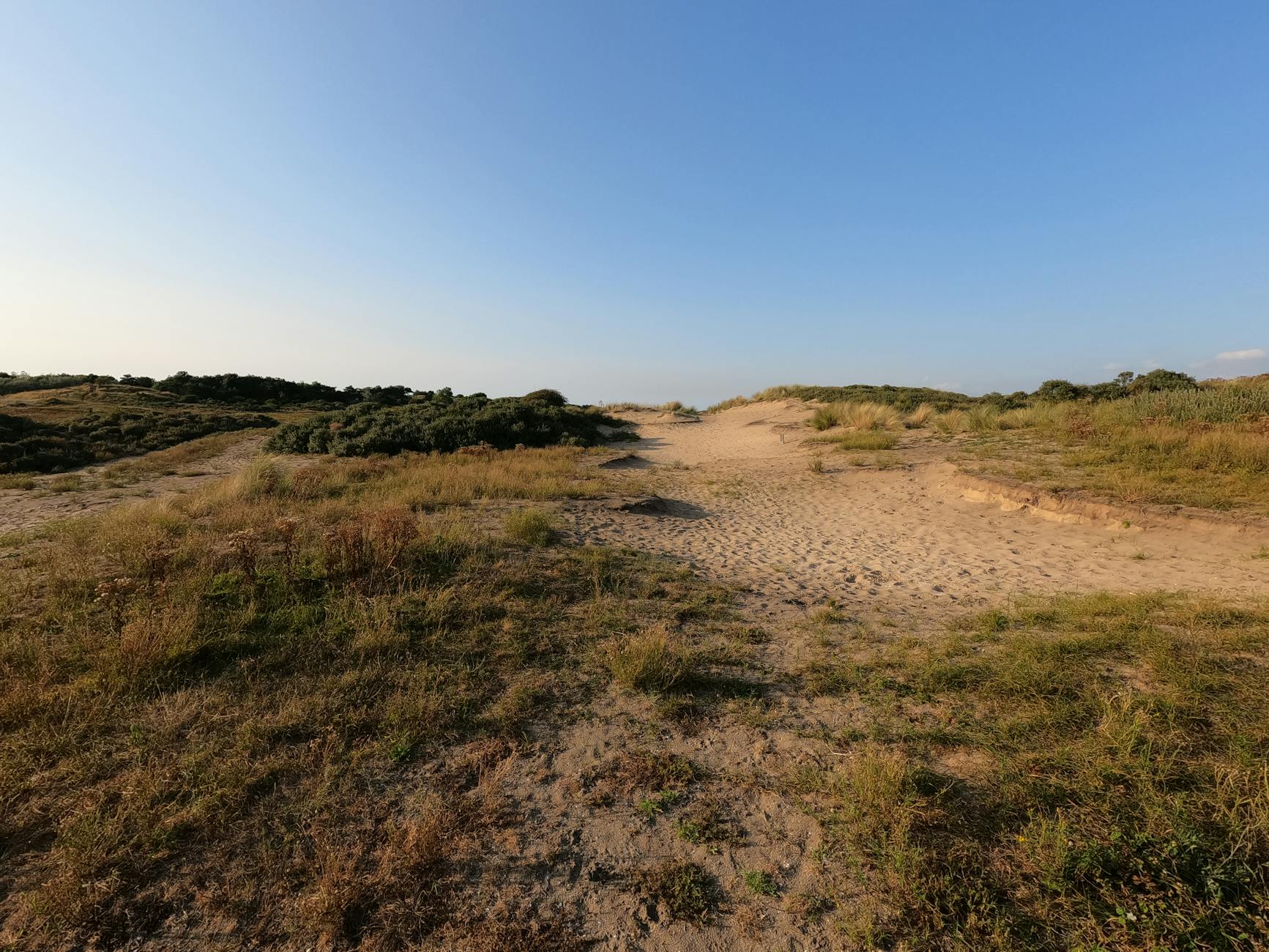 Piaszczyste wydmy przy szlaku pieszym w Sztutowie w słoneczny dzień