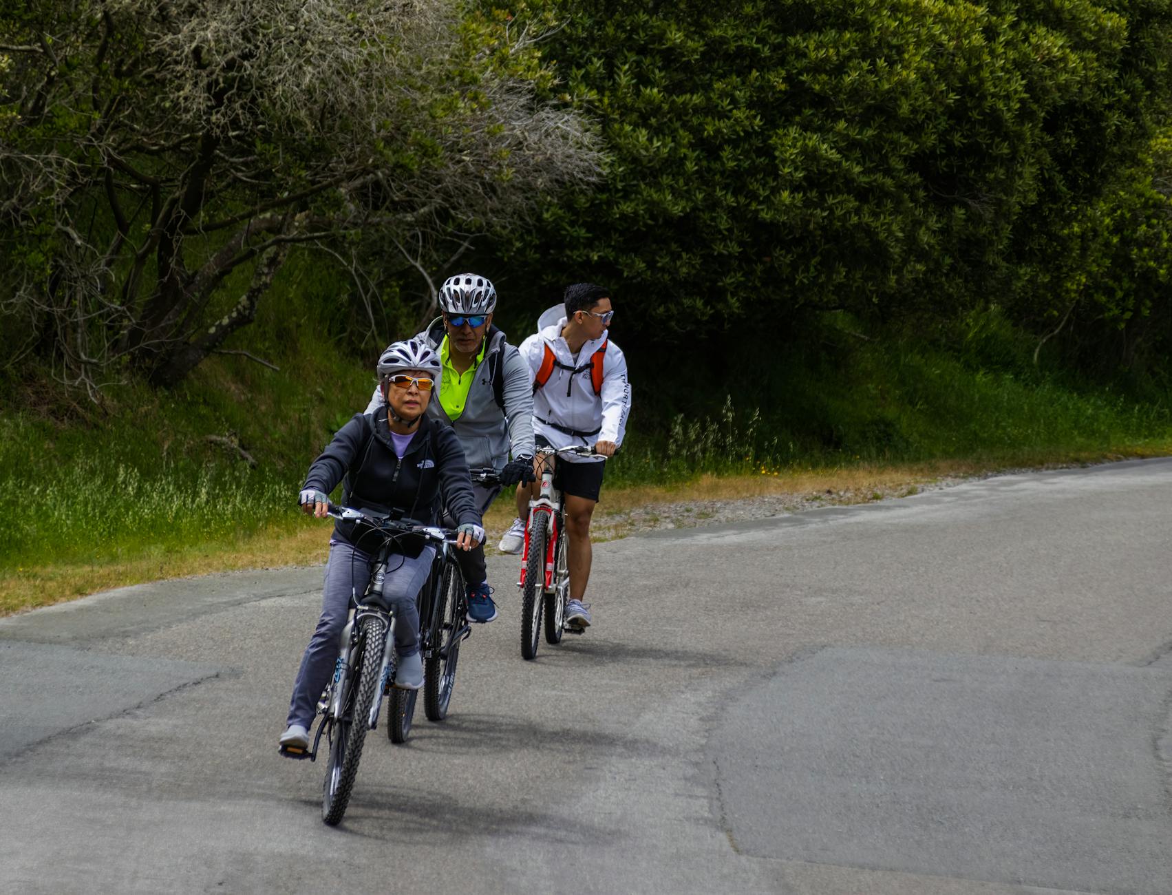 Troje dorosłych na rowerach jedzie rekreacyjnie malowniczą drogą