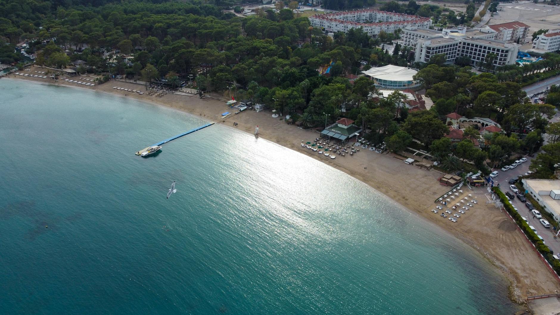 Plaża w Sztutowie z lotu ptaka, obok las i zabudowania miejscowości