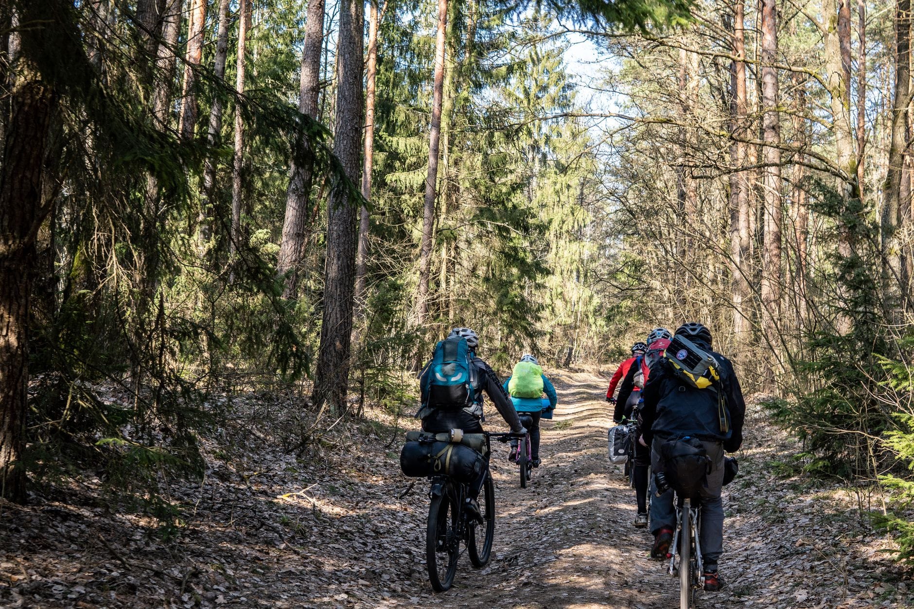 Grupa rowerzystów gravelowych jedzie leśnym duktem latem